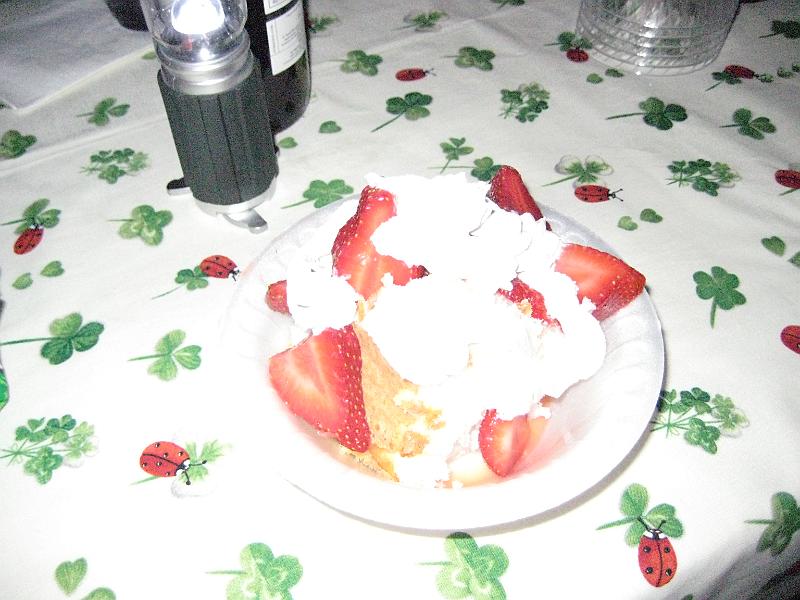Picture 033